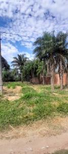 Valle Sanchez , Norte, Santa Cruz 00001, בוליביה