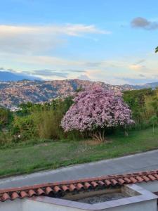 Santa Ana, sector Clara Maria Esperanza, Caracas, Miranda 00001, Venezuela