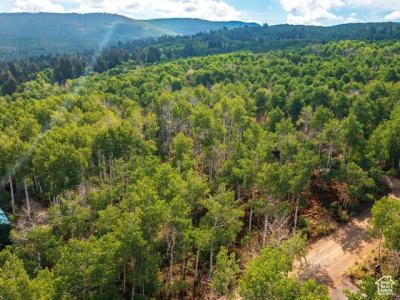 2919 GREEN BRIAR WAY 543, Heber City, Utah 84032, États-Unis