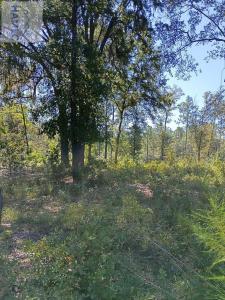 Lot 13 Faithland Drive, Hinesville, ジョージア 31313, アメリカ合衆国