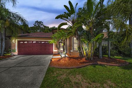 15762 Cedar Elm Terrace, Land O Lakes, Florida 34638, USA