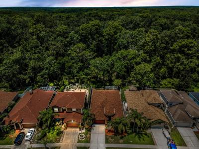 15762 Cedar Elm Terrace, Land O Lakes, فلوريدا 34638, الولايات المتحدة