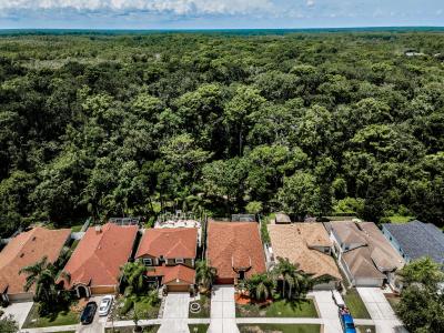 15762 Cedar Elm Terrace, Land O Lakes, فلوريدا 34638, الولايات المتحدة