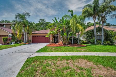 15762 Cedar Elm Terrace, Land O Lakes, فلوريدا 34638, الولايات المتحدة