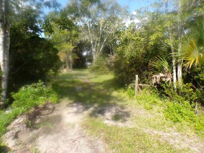 1148 Kerri Lynn Road, St. Augustine, פלורידה 32084, ארצות הברית של אמריקה 