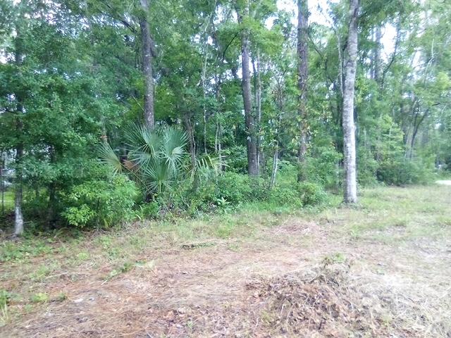 0 Salinas Ave., New Port Richey, Флорида 34654, Соединенные Штаты