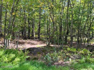 Lot 427  Squirrel Road, Dingmans Ferry, Пенсильвания 18328, Соединенные Штаты