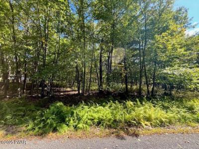 Lot 427  Squirrel Road, Dingmans Ferry, Пенсильвания 18328, Соединенные Штаты