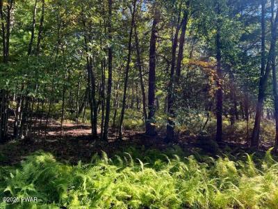 Lot 427  Squirrel Road, Dingmans Ferry, Пенсильвания 18328, Соединенные Штаты