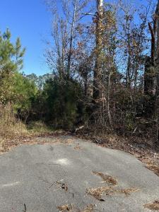 TBD Apple Valley Rd., Loris, Carolina Del Sur 29569, Estados Unidos