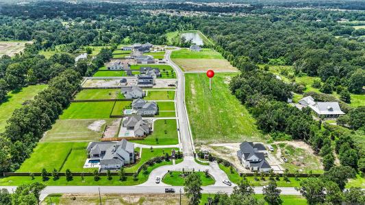 Lot 19 Manchac Reserve Dr, Baton Rouge, Louisiana 70817