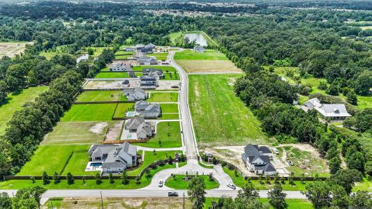 Lot 19 Manchac Reserve Dr, Baton Rouge, Louisiana 70817