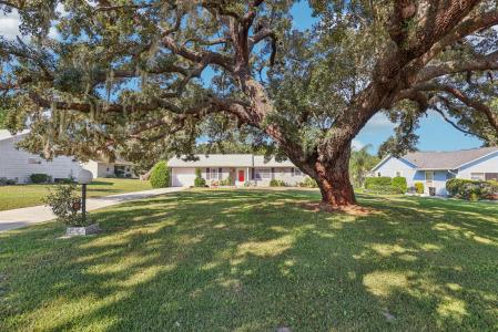 12 Brigadoon Circle, Leesburg, 佛羅里達州 34788, 美國