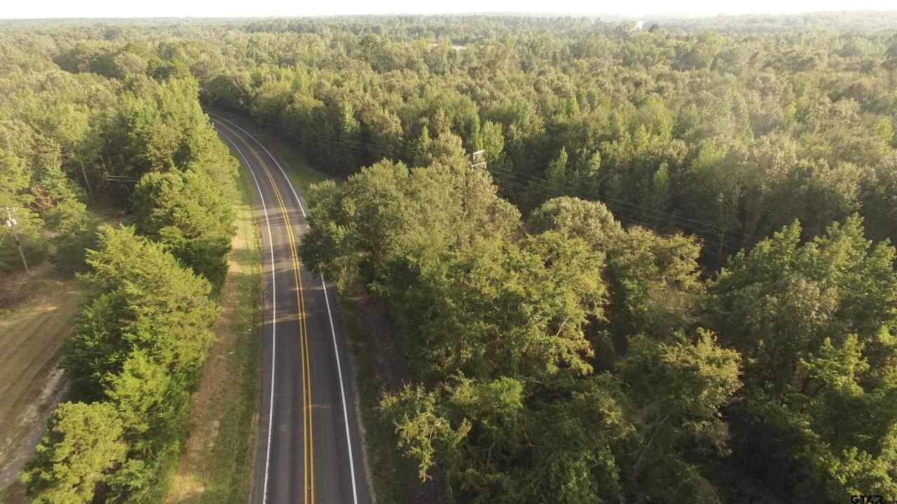 TBD FM 1519, Leesburg, Texas 75451, États-Unis