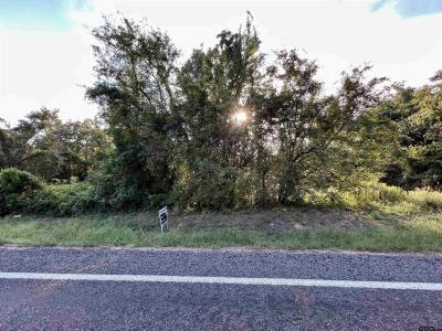 Lot 1 FM 1519, Leesburg, Texas 75451, États-Unis