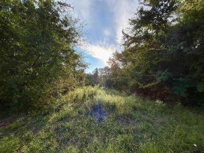 Lot 1 FM 1519, Leesburg, Texas 75451, États-Unis