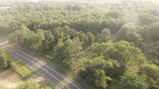 Lot 1 FM 1519, Leesburg, Texas 75451, États-Unis