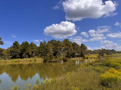 50 Margaret Ln, Tifton, Georgia 31793, HOA KỲ