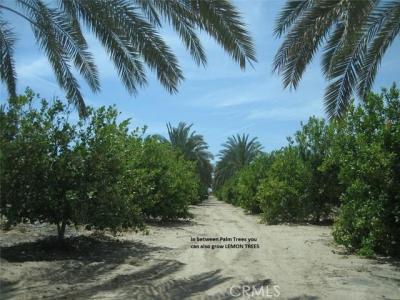 810-311-004 & 810-311-010, Desert Center, California 92239