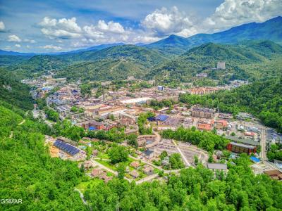 855 Campbell Lead Road, Gatlinburg, Tennessee 37738, Stati Uniti