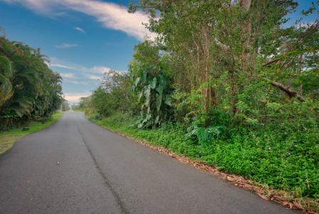 Lot 123, 15-1326 24th Ave, Keaau, Hawaii 96749, USA
