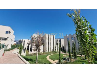 Sauk i Vjetër, Tirana, Albania