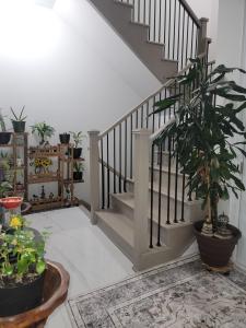 3253 DOVE DRIVE, Oakville, Ontario L6H 7G1, CANADÁ