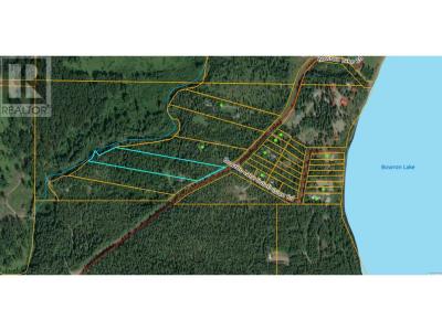 LOT 5 BOWRON LAKE ROAD, Quesnel, British Columbia V0K 2R0, Canada