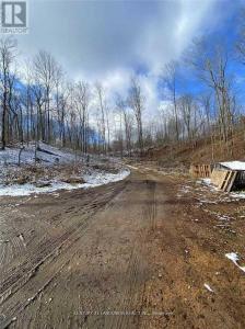 1091 CRYSTAL LAKE ROAD, Trent Lakes, Ontario K0M 2A0, Canada