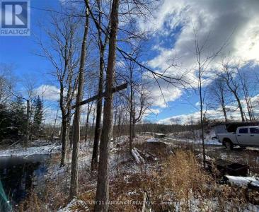 1091 CRYSTAL LAKE ROAD, Trent Lakes, Ontario K0M 2A0, Canada