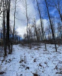 1091 CRYSTAL LAKE ROAD, Trent Lakes, Ontario K0M 2A0, Canada