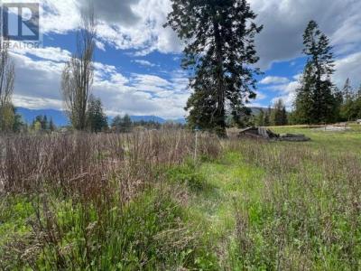 4852 48TH STREET, Canyon, British Columbia V0B 1C1, Canada