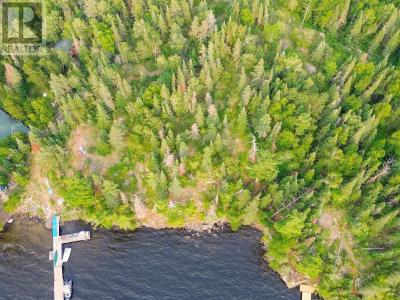 496 CONEY ISLAND, Kenora, אונטריו P9N 4T1, קנדה 