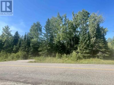 351 THUNDER LAKE RD, Dryden, Ontario P8N 2Y4, Canada