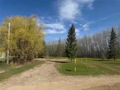 20 BROOKDALE ROAD, Lac Du Bonnet Rm, Manitoba R0E 1A0, Canada