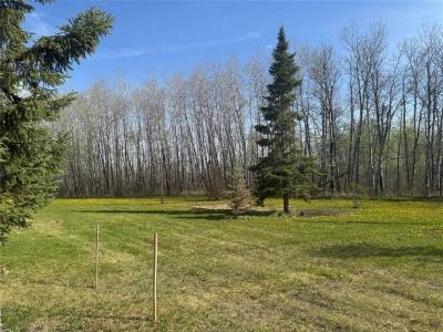 20 BROOKDALE ROAD, Lac Du Bonnet Rm, Manitoba R0E 1A0, Canada