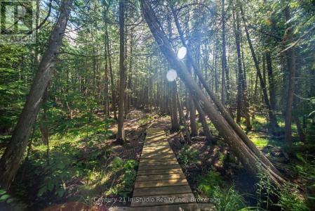 1025 WEST ROAD, Northern Bruce Peninsula, Ontario N0H 1W0, Canada