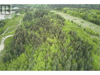 LOT 2 WOODRIDGE ROAD, Quesnel, 不列顛哥倫比亞省 V2J 0A8, 加拿大