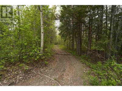 LOT 2 WOODRIDGE ROAD, Quesnel, 不列顛哥倫比亞省 V2J 0A8, 加拿大