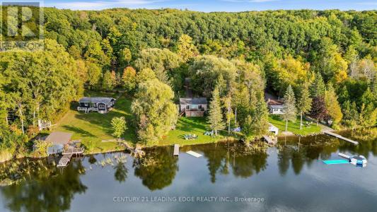 50 CEDAR LANE, Quinte West (sidney Ward), Ontario K0K 2C0, Canadá