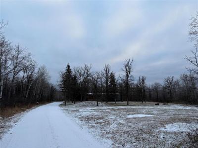 37092 36N ROAD, Steinbach, מניטובה R0A 0W1, קנדה