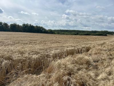 36-19-23 NW - Rm of Rossburn, Olha, מניטובה R0J 1K0, קנדה