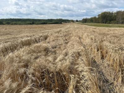 36-19-23 NW - Rm of Rossburn, Olha, מניטובה R0J 1K0, קנדה