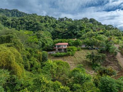 San Josesito , Dominicalito Bahía Ballena Osa, Puntarenas 60504, Costa Rica