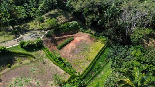 Dominical Bahía Ballena Osa, Puntarenas 00001, Costa Rica