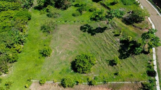 Dominical Bahía Ballena Osa, Puntarenas 00001, Costa Rica