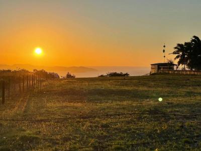 La Cruz La Cruz, Guanacaste 00001, Costa Rica