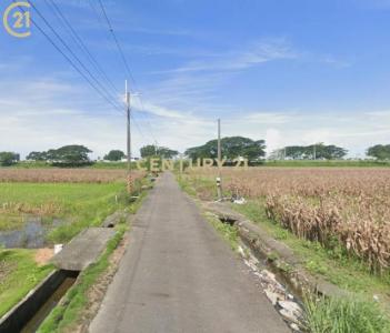 安定, Anding Dist., Tainan City 745, Taiwan