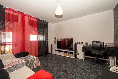 Montijo, Setubal 2870, Portugal