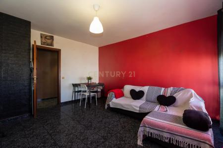 Montijo, Setubal 2870, Portugal